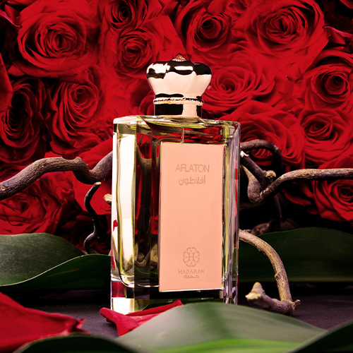 عطر أفلاطون